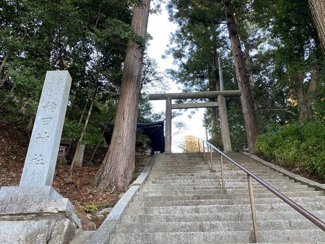 稲田神社の参拝記録(さくらもちさん)