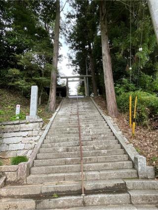 稲田神社の参拝記録(てんさん)