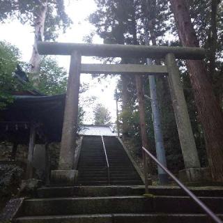 稲田神社の参拝記録(しろぎすさん)