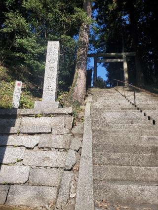 稲田神社の参拝記録(ヨッシーさん)