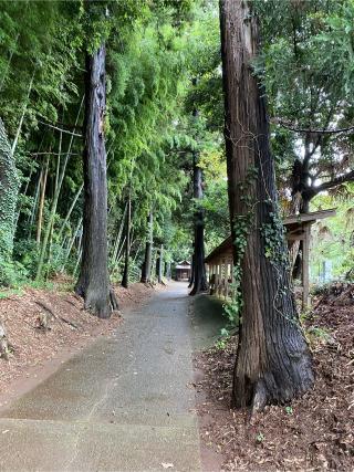 香取八坂神社の参拝記録(姫山茶さん)