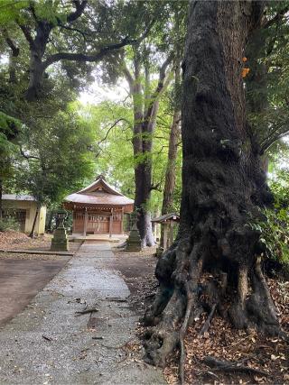 香取八坂神社の参拝記録(姫山茶さん)