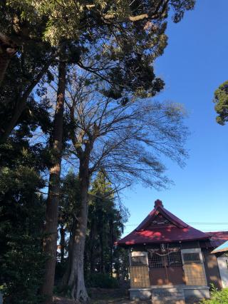 香取神社の参拝記録(えのさんさん)