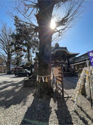 取手総鎮守八坂神社の参拝記録(悠馬さん)