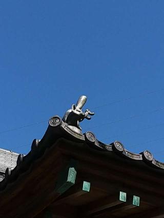 三軒地稲荷神社の参拝記録(銀ちゃんさん)