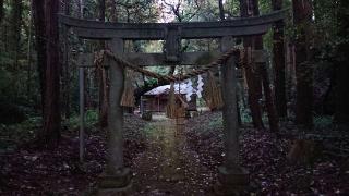 井岡神社の参拝記録(のりさん)