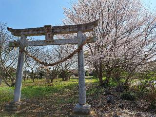 小坂熊野神社の参拝記録(のりさん)