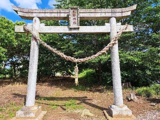 小坂熊野神社の参拝記録(のりさん)