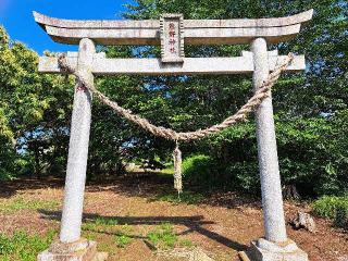 小坂熊野神社の参拝記録(のりさん)