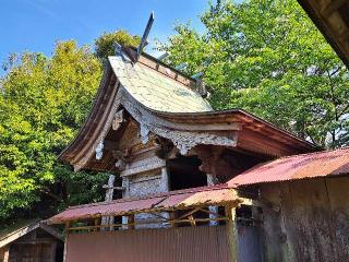 小坂熊野神社の参拝記録(のりさん)