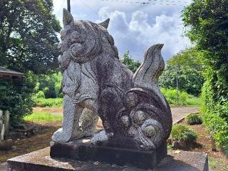 小坂熊野神社の参拝記録(のりさん)