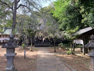 月読神社（月讀神社）の参拝記録(レモンサワーさん)