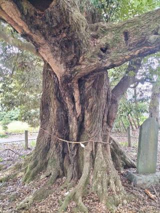 月読神社（月讀神社）の参拝記録(ジョージ。さん)