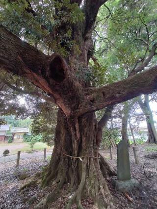 月読神社（月讀神社）の参拝記録(ジョージ。さん)