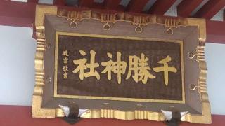 千勝神社の参拝記録(ステイさん)