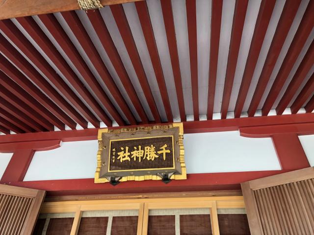 茨城県つくば市泊崎173番地 千勝神社の写真6