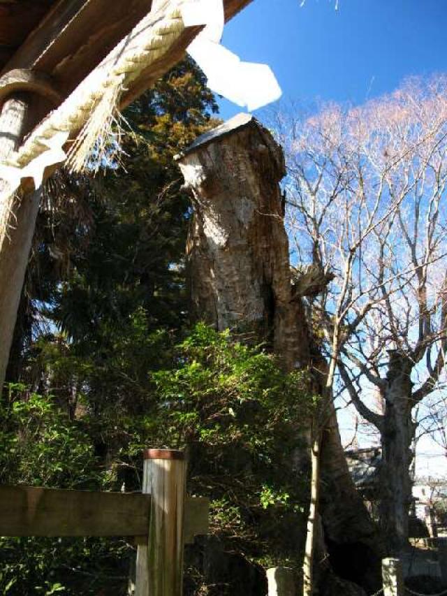 茨城県つくば市玉取2617番地 一ノ矢八坂神社の写真4