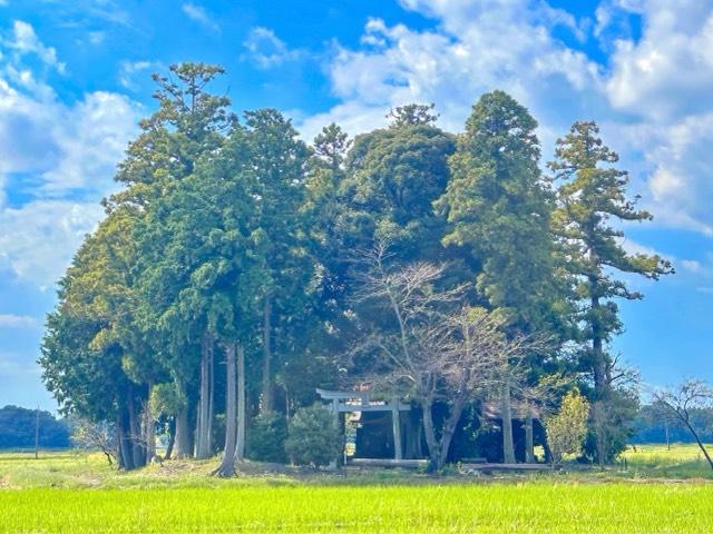 船宮神社の写真1