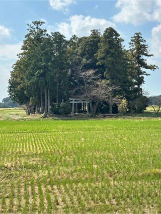船宮神社の参拝記録(shikigami_hさん)