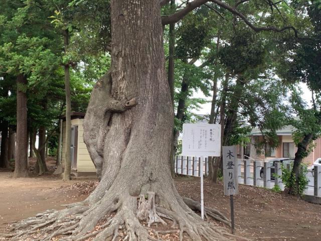 茨城県ひたちなか市高場1番地 静神社の写真4