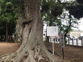 静神社の参拝記録(さくらもちさん)