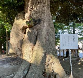 静神社の参拝記録(のぶさん)