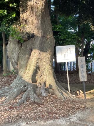 静神社の参拝記録(悠馬さん)