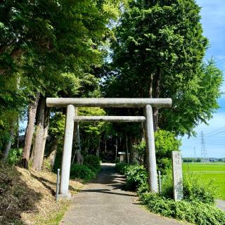新宮素鵞神社の参拝記録(のぶさん)