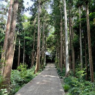 新宮素鵞神社の参拝記録(のぶさん)