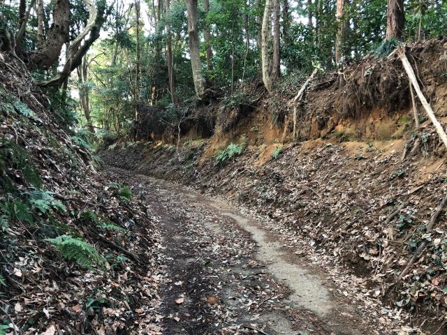茨城県ひたちなか市部田野1762番地 釜神社の写真7