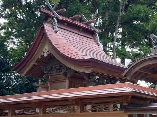 津神社の参拝記録(さくらもちさん)