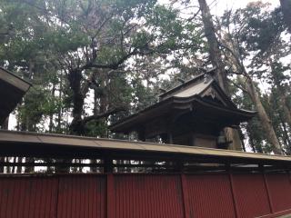 酒列神社の参拝記録(みつをさん)