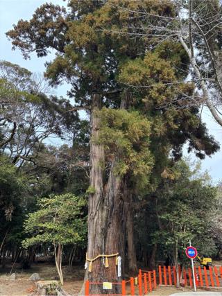 息栖神社の参拝記録(まなさん)