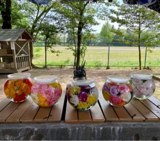 稲荷神社(素鵞神社境内社)の参拝記録(のぶさん)