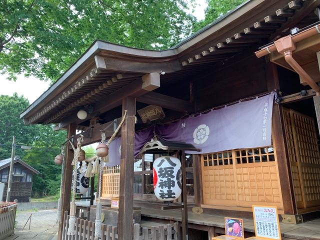 八坂神社（牛頭天王宮）の参拝記録6