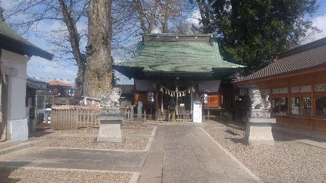 八坂神社（牛頭天王宮）の参拝記録10