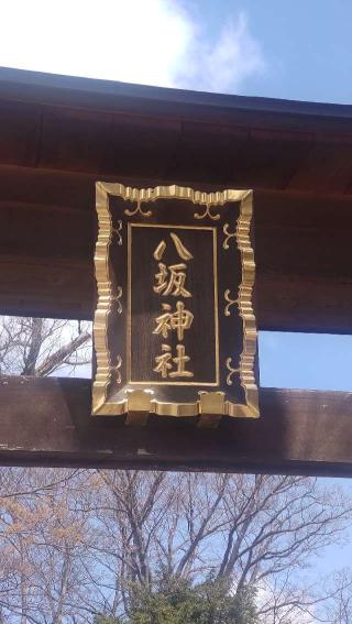八坂神社（牛頭天王宮）の参拝記録(ステイさん)