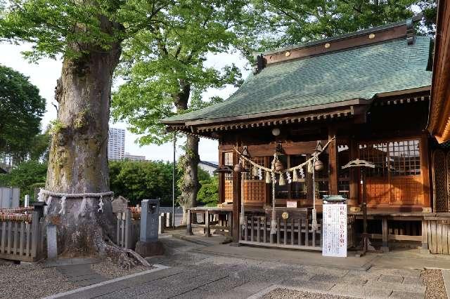 八坂神社（牛頭天王宮）の参拝記録10