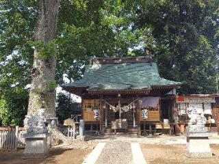 八坂神社（牛頭天王宮）の参拝記録(支那虎さん)