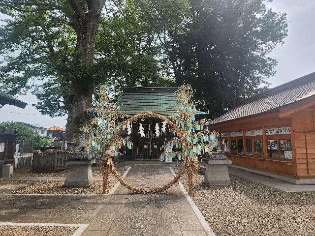 八坂神社（牛頭天王宮）の参拝記録10