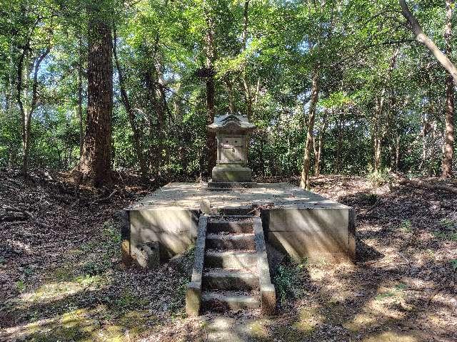 茨城県守谷市甲4581番地 天神神社の写真2