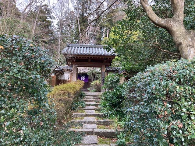 林照寺の参拝記録4