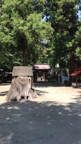 甲神社の参拝記録(ミンコさん)