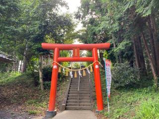 春日神社の参拝記録(トゥーさん)