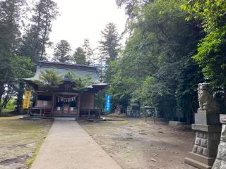 春日神社の参拝記録(トゥーさん)