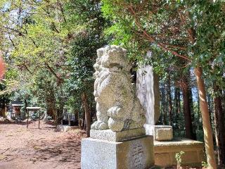 春日神社の参拝記録(飛成さん)