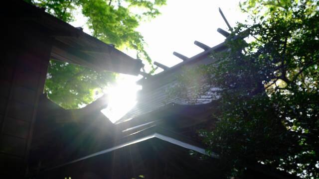 立野神社の参拝記録7