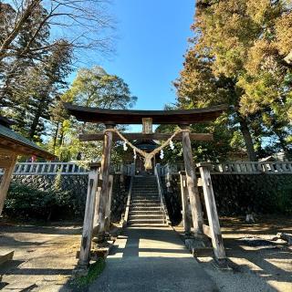 立野神社の参拝記録(のぶさん)