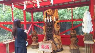 鷲子山上神社本宮の参拝記録(オトギリルさん)