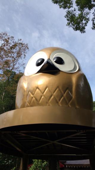 鷲子山上神社本宮の参拝記録(ミンコさん)